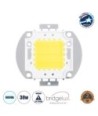 GLOBOSTAR® COBCHIP 73761 Cob LED 30W 3000lm 120° DC 28-32V IP20 Ψυχρό Λευκό 6000K Dimmable - Bridgelux COB Chip - Μ5.5 x Π5.2 x Υ0.6cm - 2 Χρόνια Εγγύηση